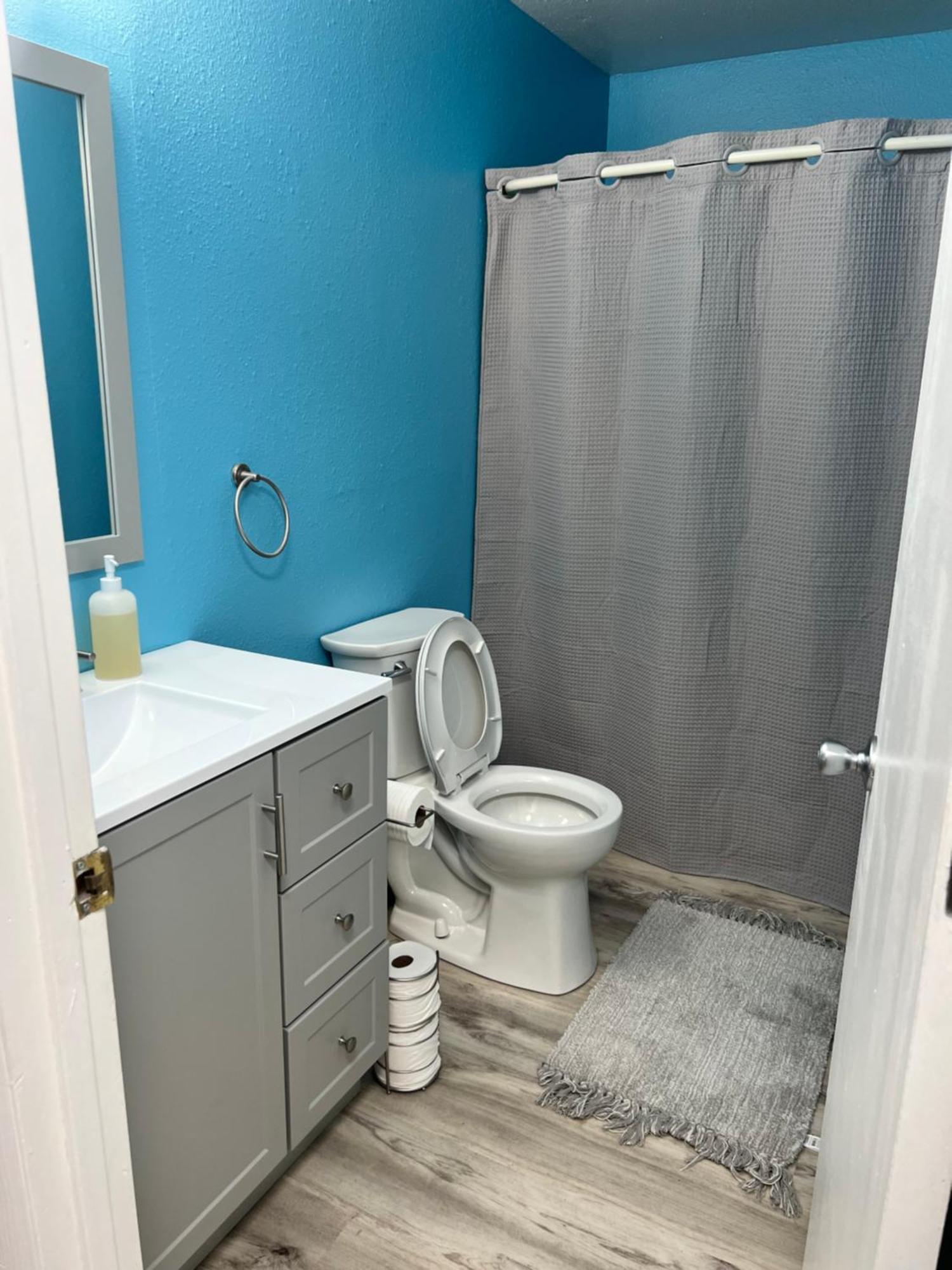 Beautiful Downtown 4 Apartment